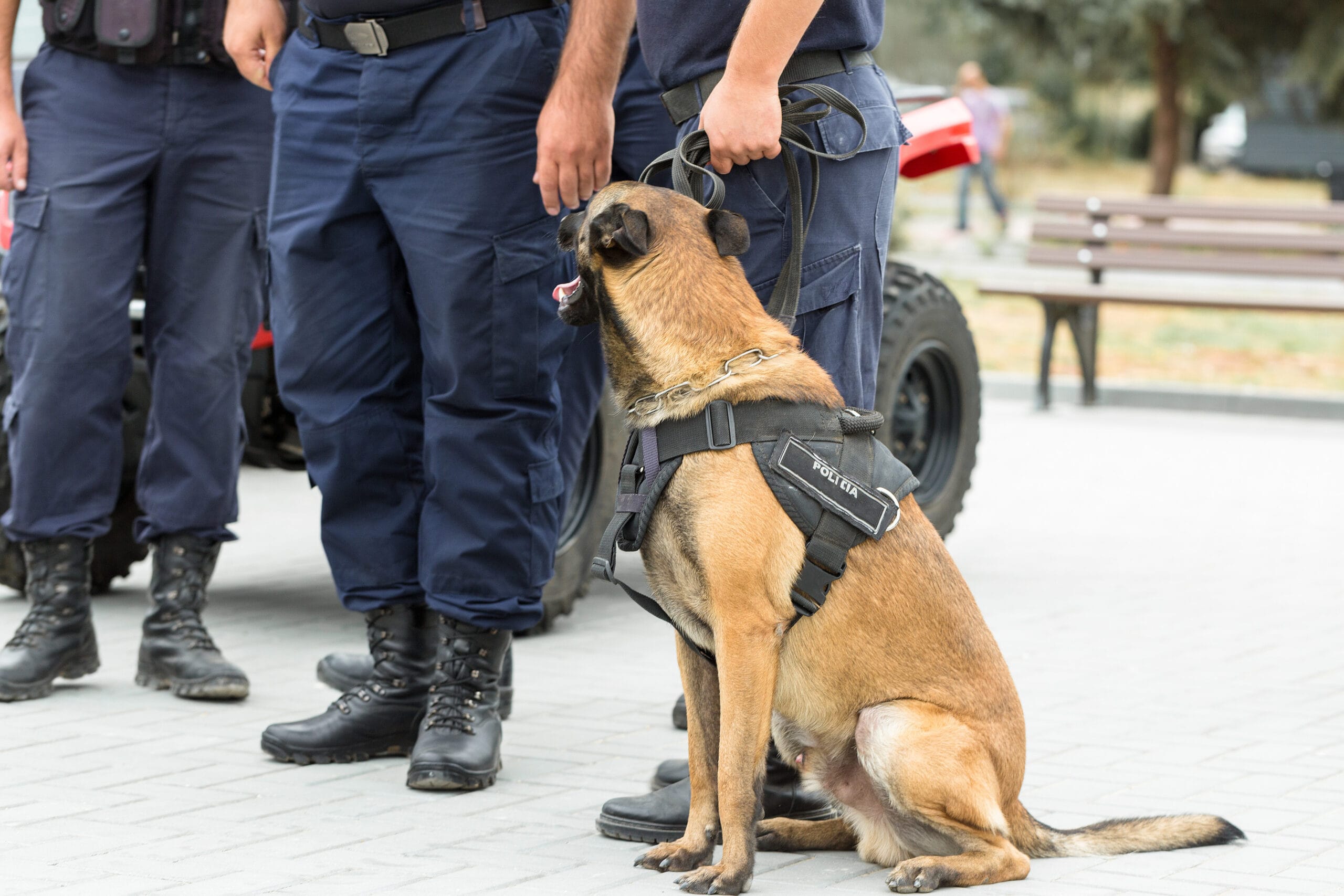 57c9f7830773ad73b45671b90a184098 (1) 57c9f7830773ad73b45671b90a184098 (1)